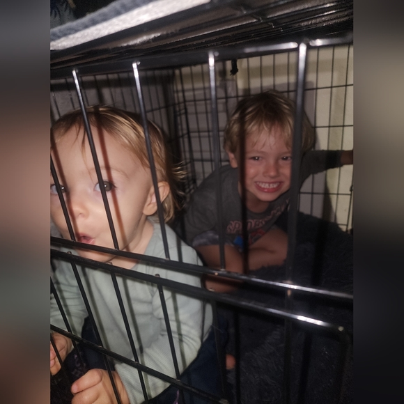 Meet your Posher, Natasha (Tash) - Picture 8 of 12